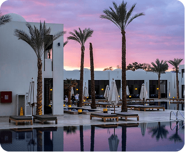 Poolside area with palm trees